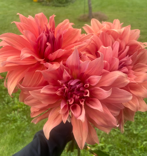 Bucket of Blooms - Fall Colors
