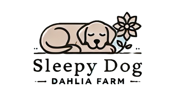 Sleepy Dog Dahlia Farm