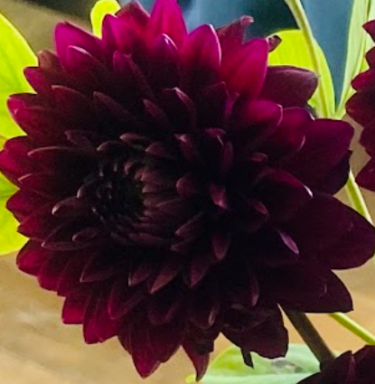Bucket of Blooms - Fall Colors