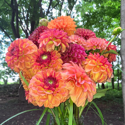 Spring Awakening Flower CSA